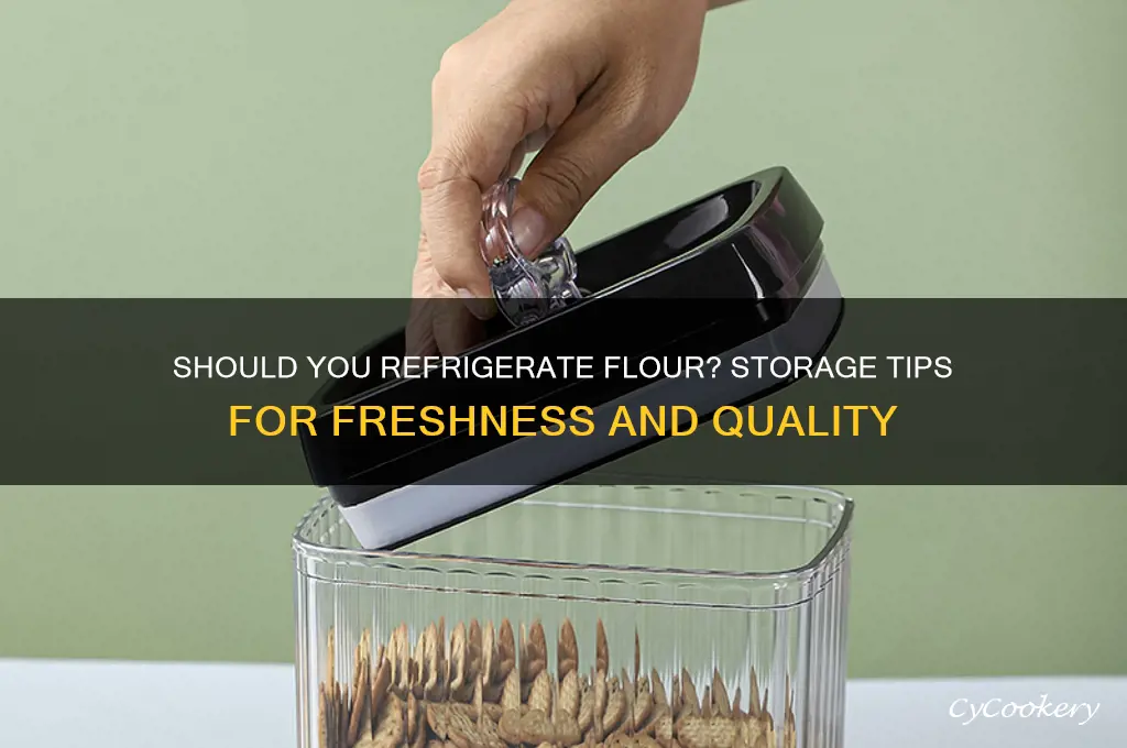 can flour be kept in the refrigerator