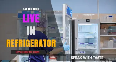 Can Flu Viruses Survive in Your Refrigerator? Facts and Tips