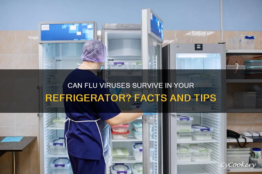 can flu virus live in refrigerator