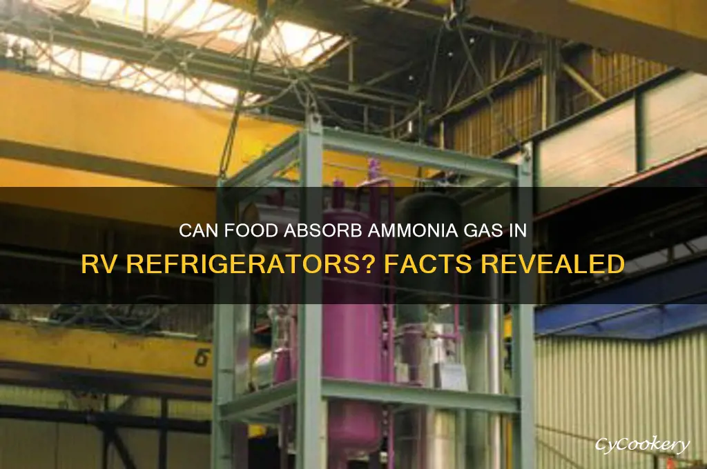 can food absorb ammonia gas rv refrigerator