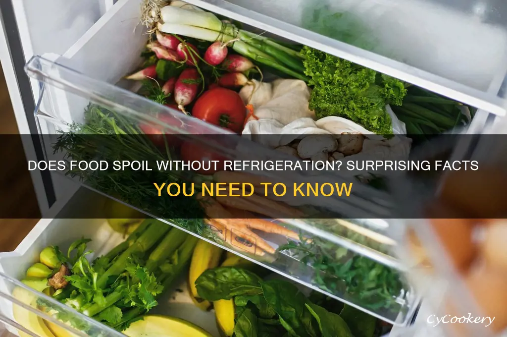 can food go bad if it was not refrigerated