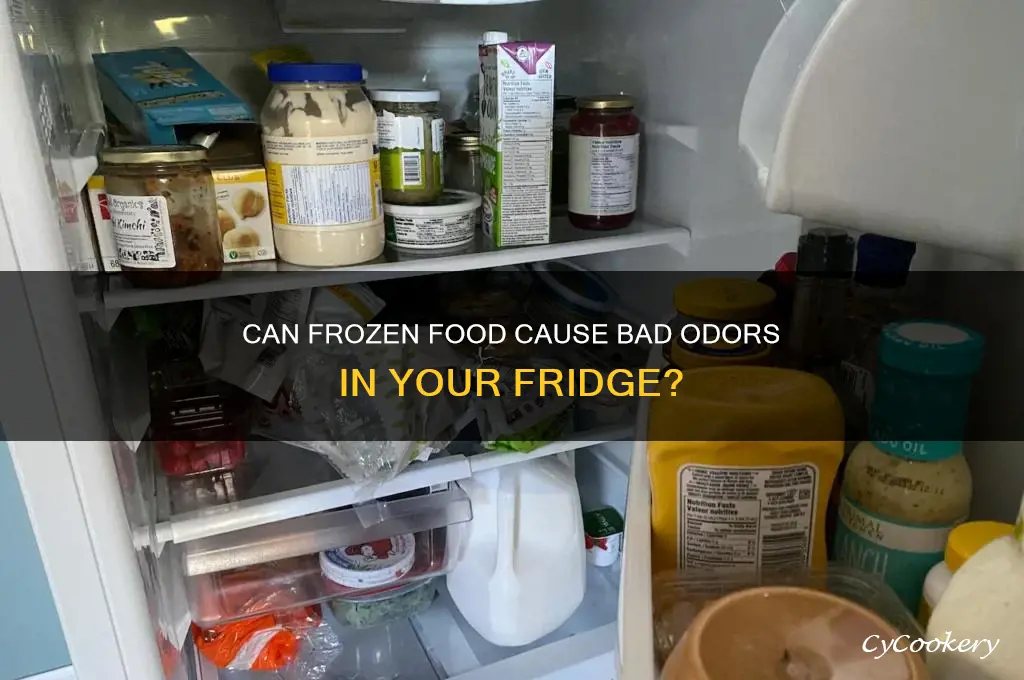 can food in freezer make refrigerator smell bad