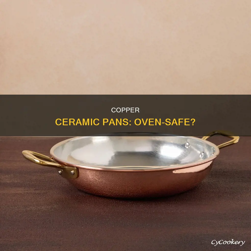 can food network copper ceramic pan go in the oven