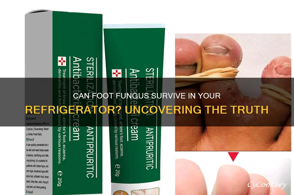 can foot fungus live in refrigerator