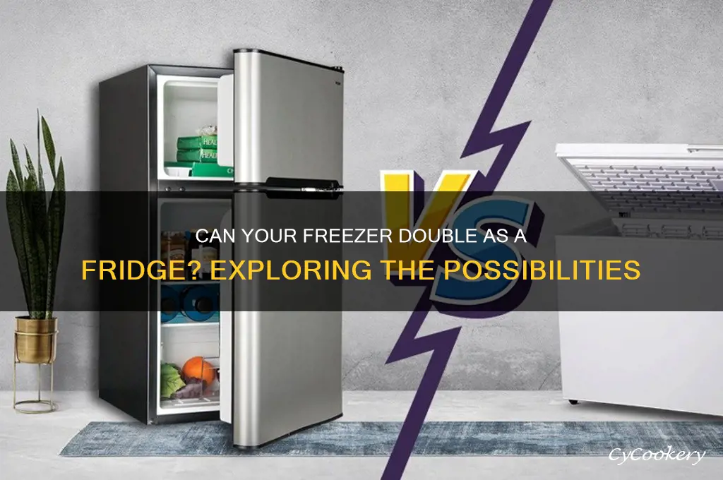 can freezer be used as refrigerator