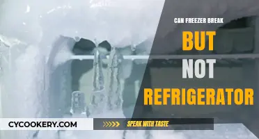 Why Your Freezer Might Fail While Your Refrigerator Keeps Running