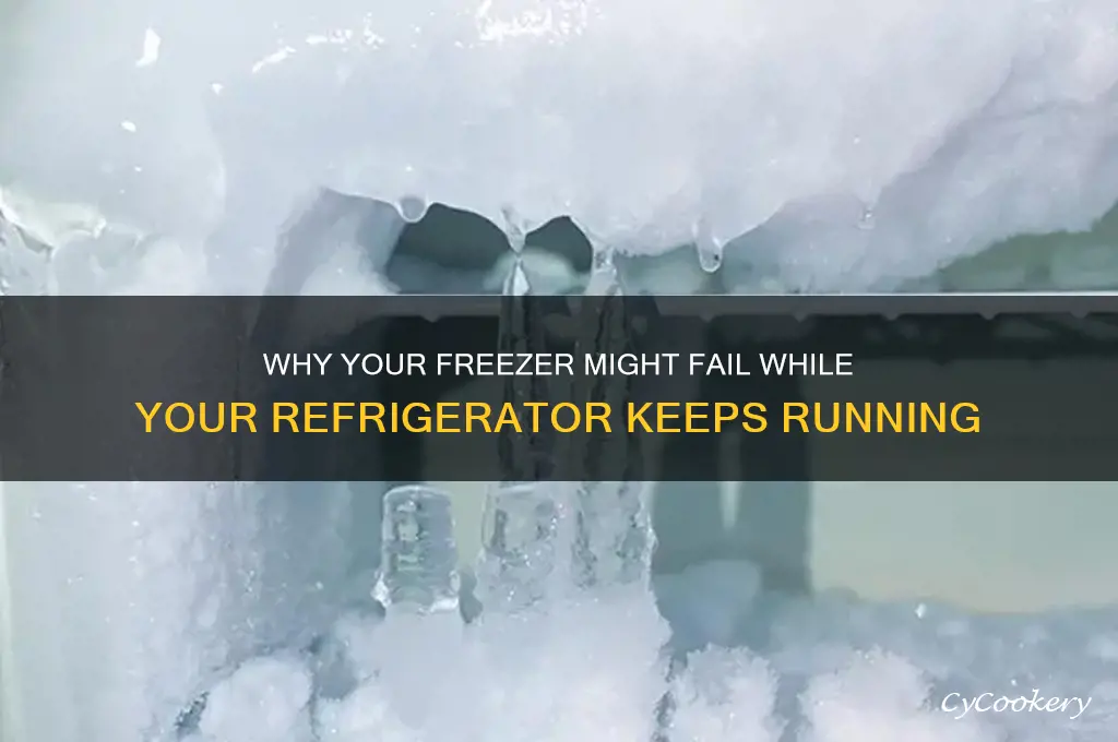 can freezer break but not refrigerator