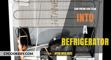 Can Freon Gas Leak into Your Refrigerator? Risks and Solutions