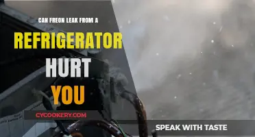 Freon Leaks from Refrigerators: Potential Health Risks Explained