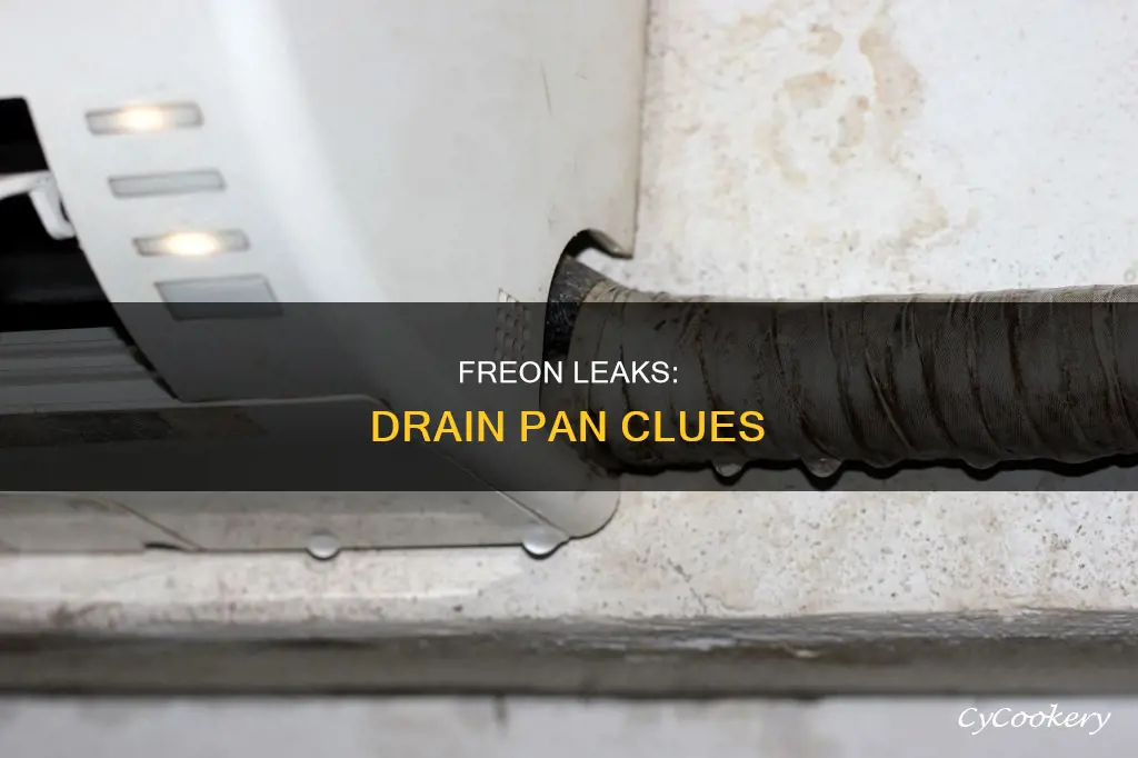 can freon leak to drain pan