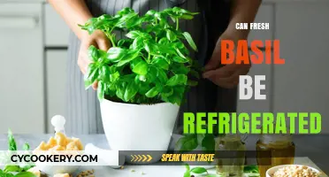Refrigerating Fresh Basil: Best Practices for Longer Shelf Life