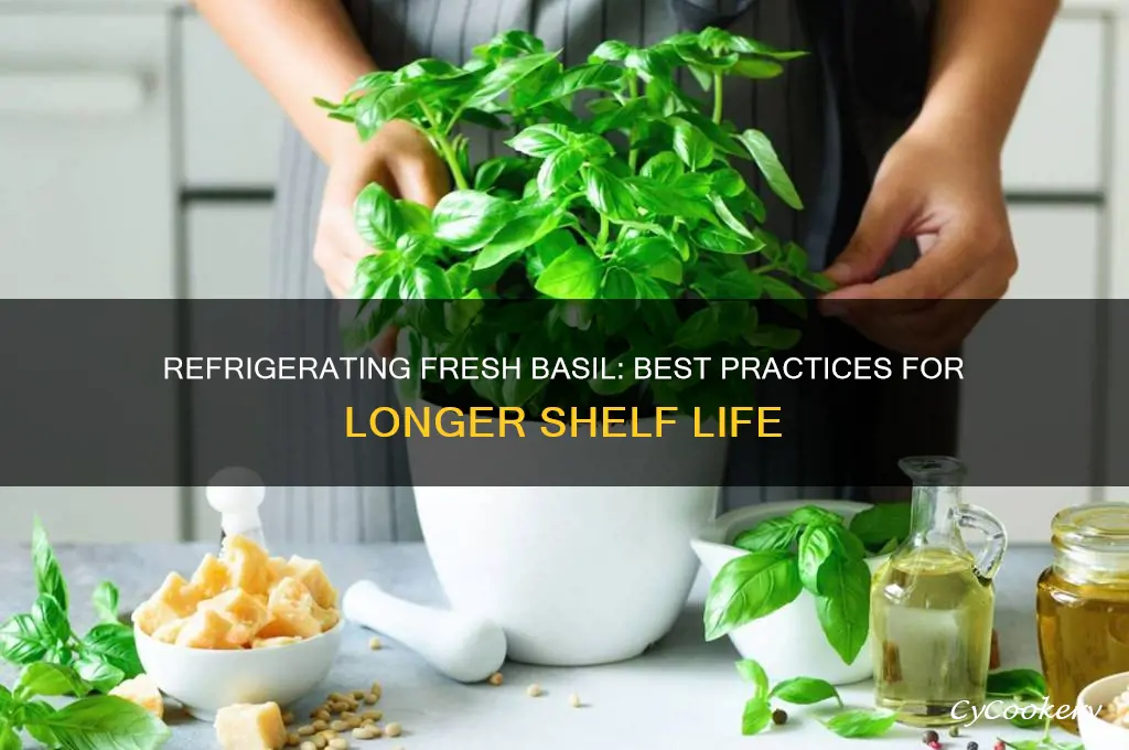 can fresh basil be refrigerated