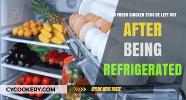 Should Fresh Chicken Eggs Stay Refrigerated or Left Out?