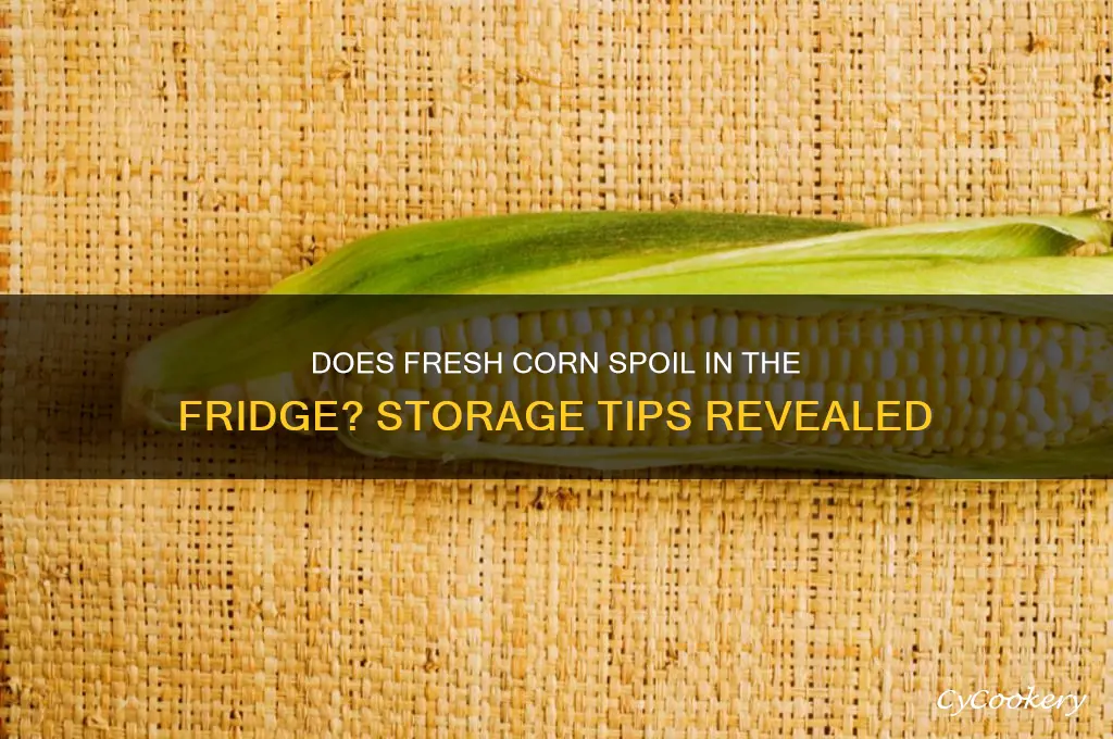 can fresh corn go bad in the refrigerator