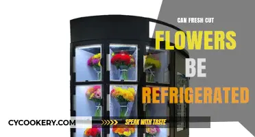 Refrigerating Fresh Cut Flowers: Tips to Extend Their Lifespan