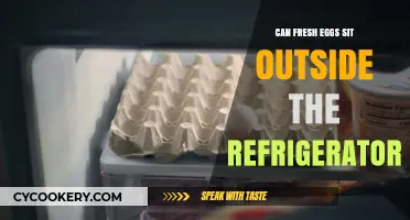 Fresh Eggs Outside the Fridge: Safe Storage Tips and Myths