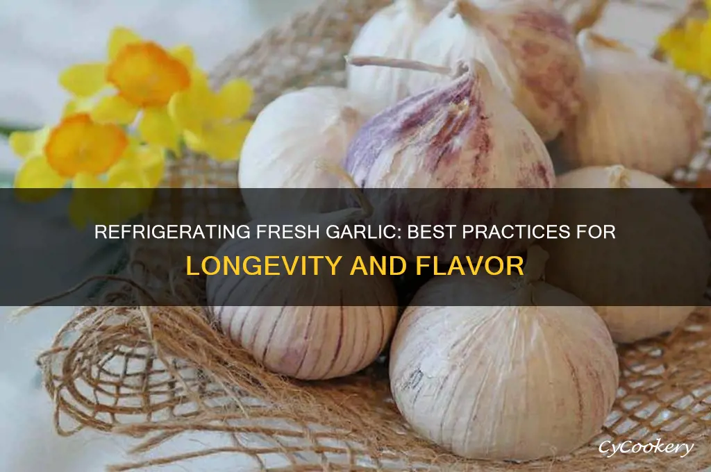 can fresh garlic be refrigerated