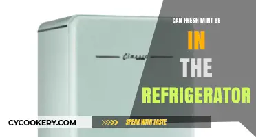 Storing Fresh Mint: Refrigerator Tips for Longer Shelf Life