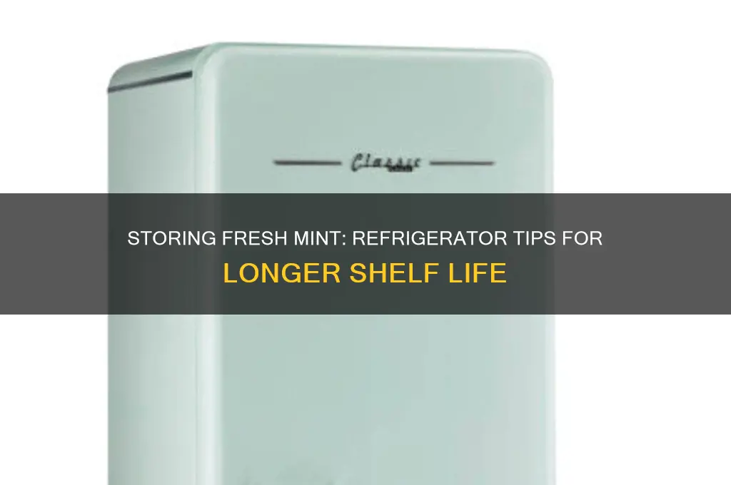 can fresh mint be in the refrigerator