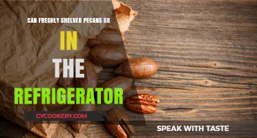 Refrigerating Freshly Shelled Pecans: Best Practices for Storage and Freshness