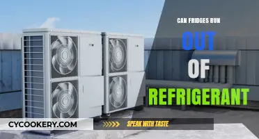 Can Fridges Run Out of Refrigerant? Understanding Your Appliance's Lifespan