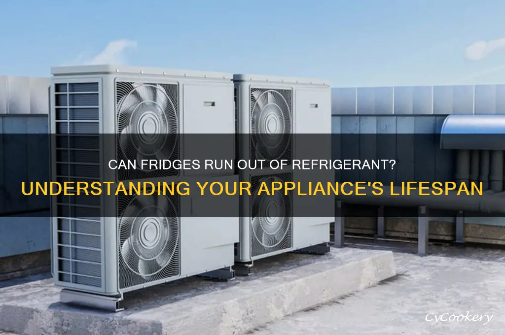 can fridges run out of refrigerant