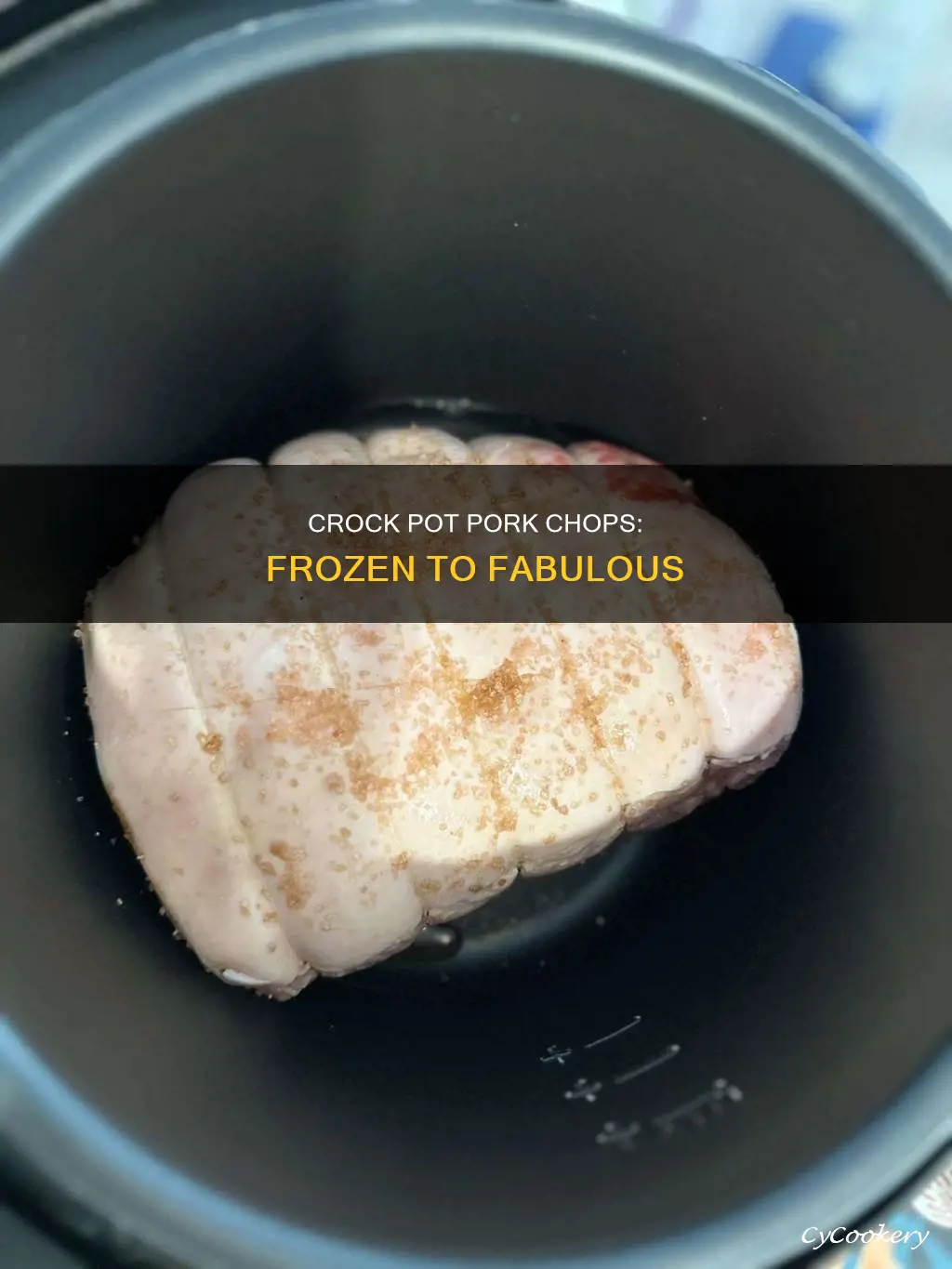 can frozen pork chops be cooked in the crock pot