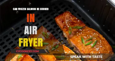 Air Fryer Frozen Salmon: Quick and Easy Cooking Guide