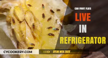 Can Fruit Flies Survive in Your Refrigerator? The Chilling Truth