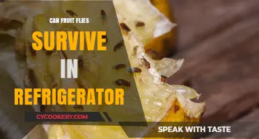 Can Fruit Flies Survive in Your Refrigerator? The Chilling Truth