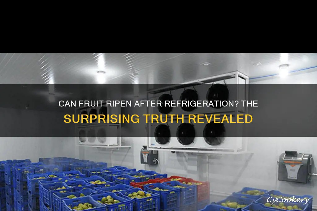 can fruit ripen after refrigeration