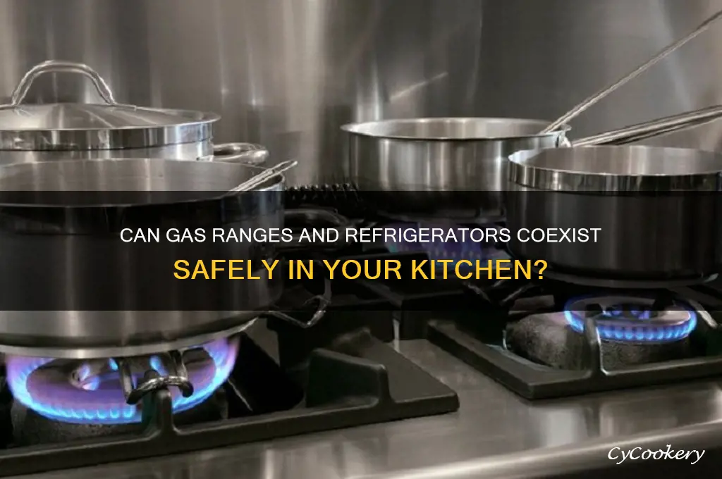 can gas range and refrigerator