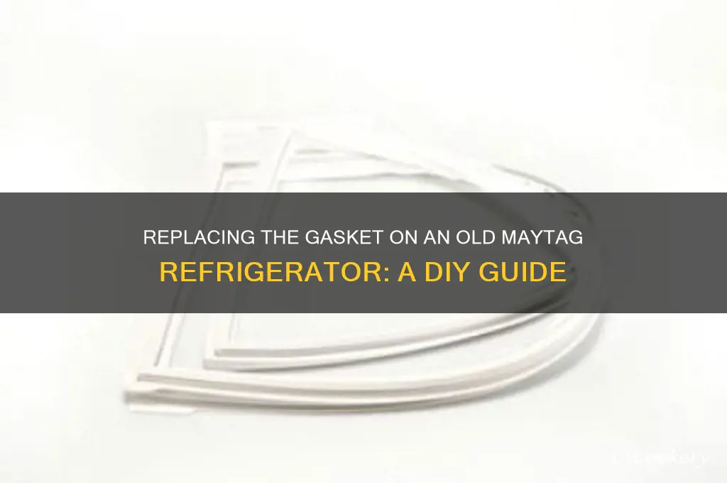can gasket on old maytag refrigerator be replaced