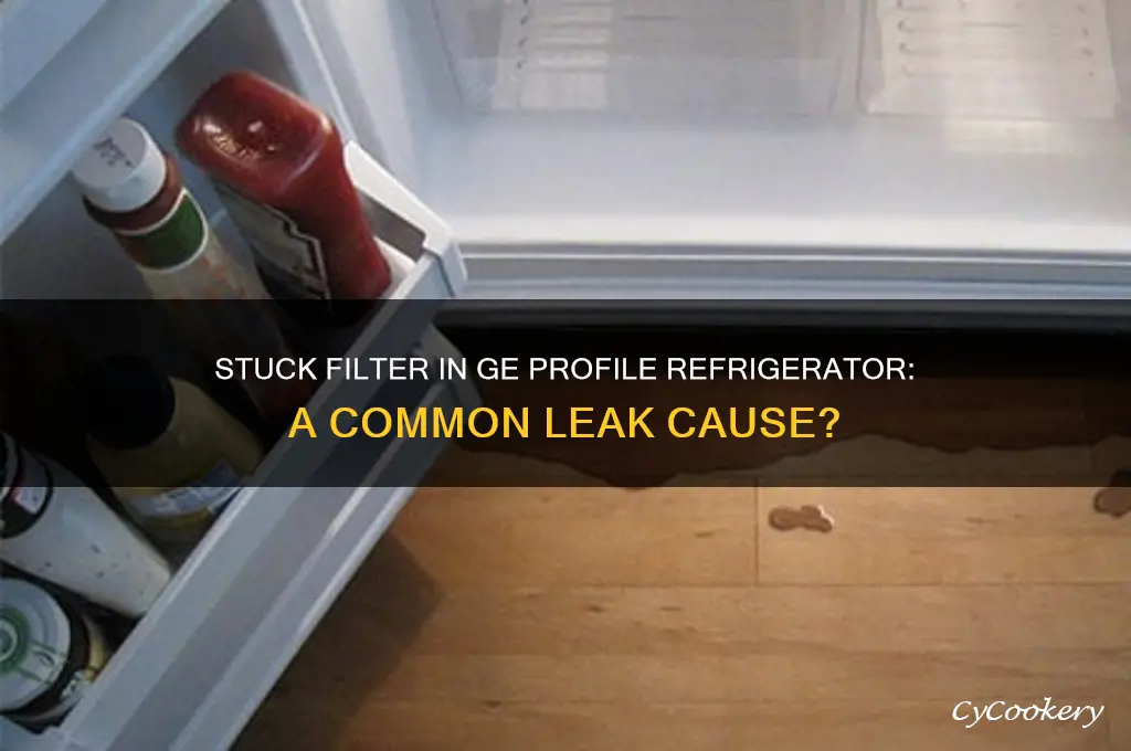 can ge profile refrigerator leake cause of stuck filter