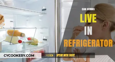 Can Germs Survive in Your Refrigerator? The Chilling Truth Revealed