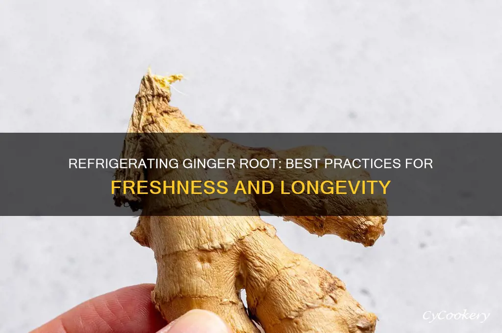 can ginger root be refrigerated