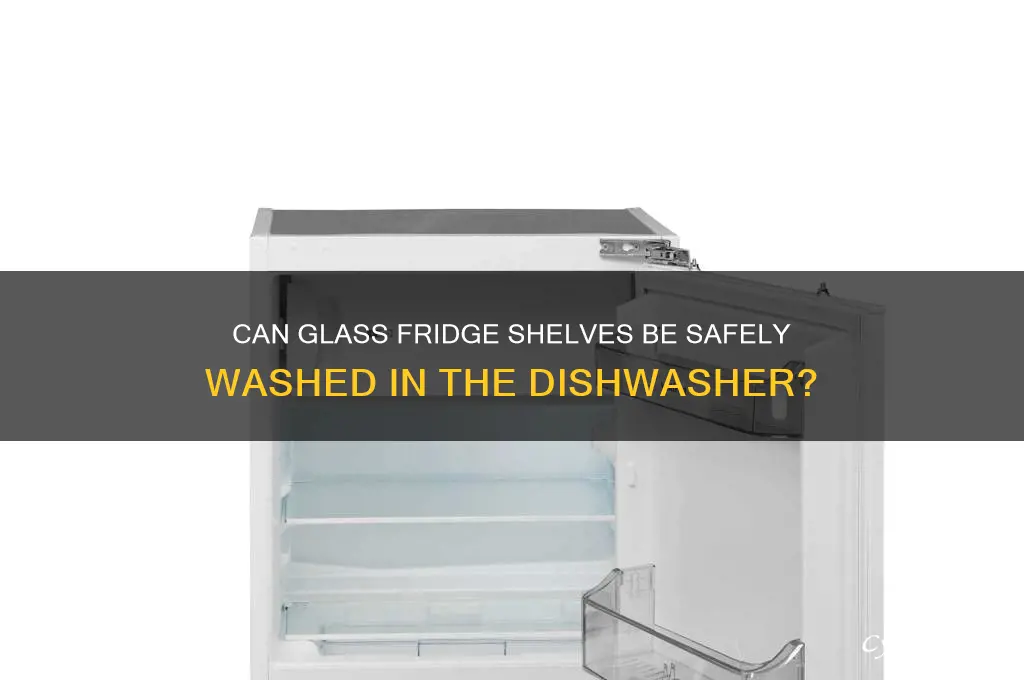 can glass refrigerator shelves go in dishwasher