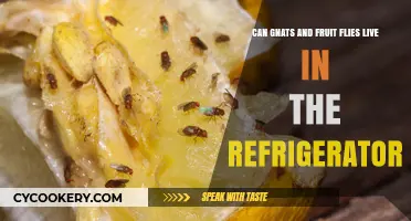 Can Gnats and Fruit Flies Survive in Your Refrigerator?