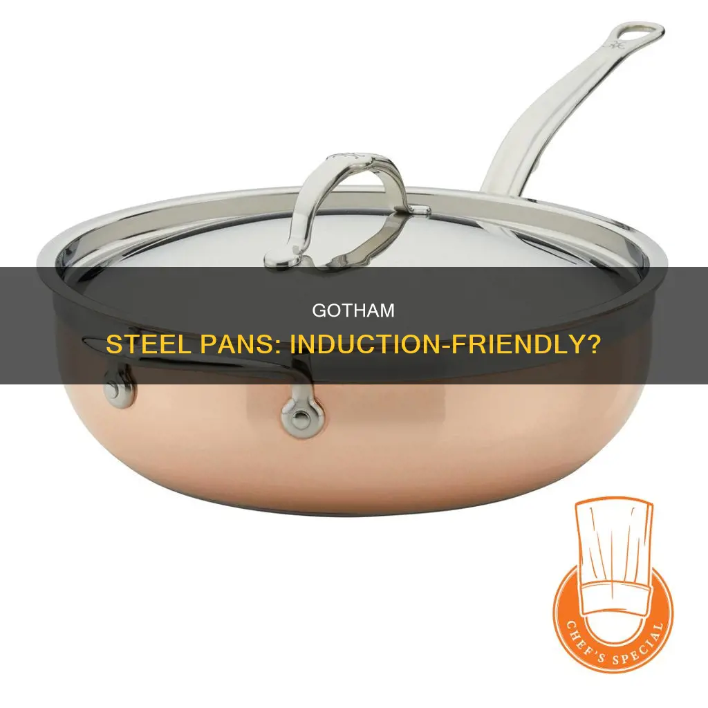 can gotham steel pans be used on induction