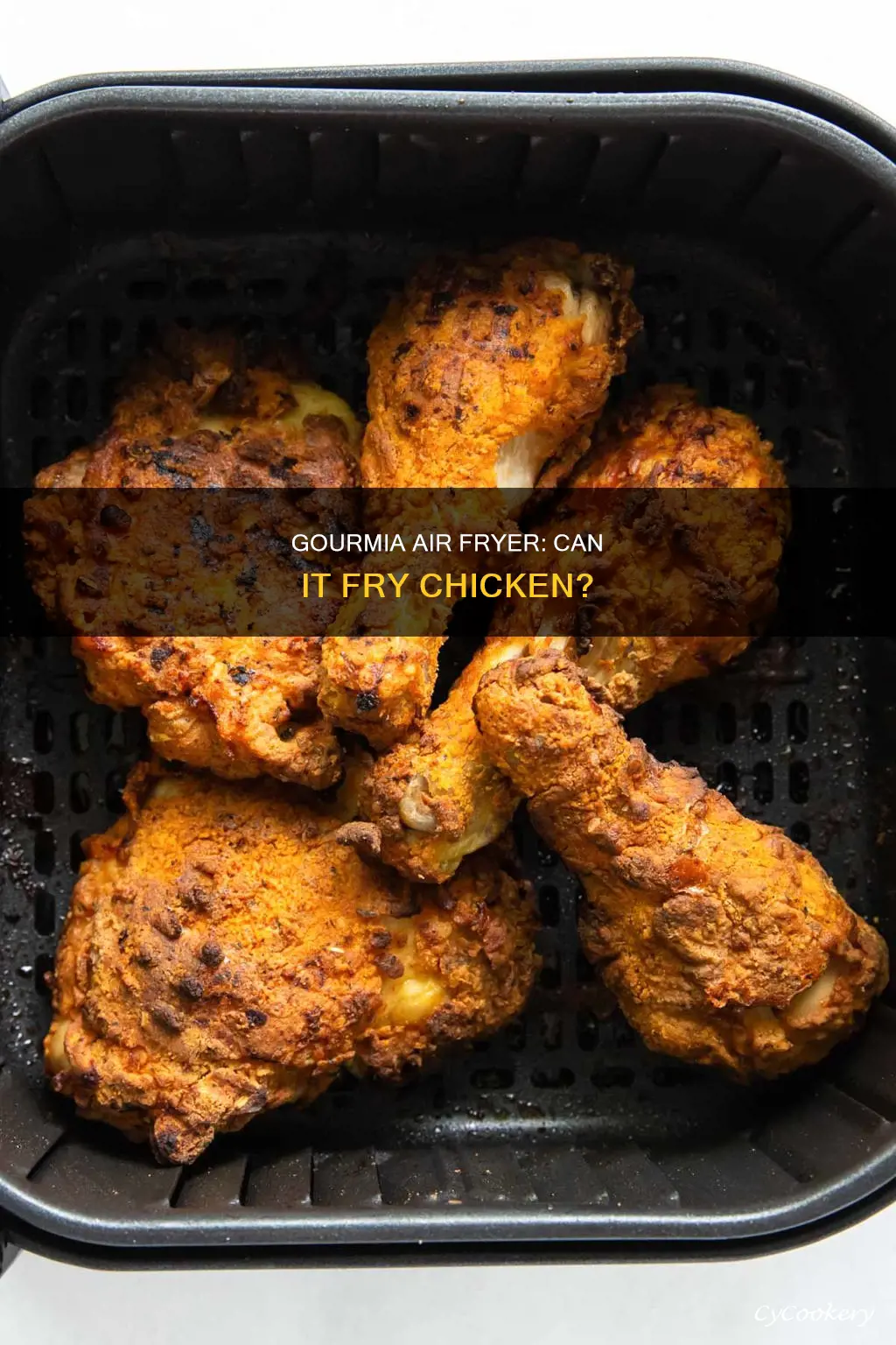 can gourmia air fryer fry chicken