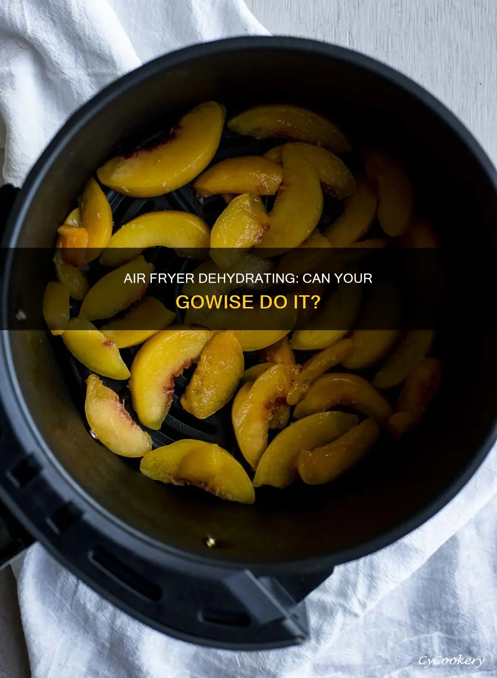 can gowise air fryer dehydrate food