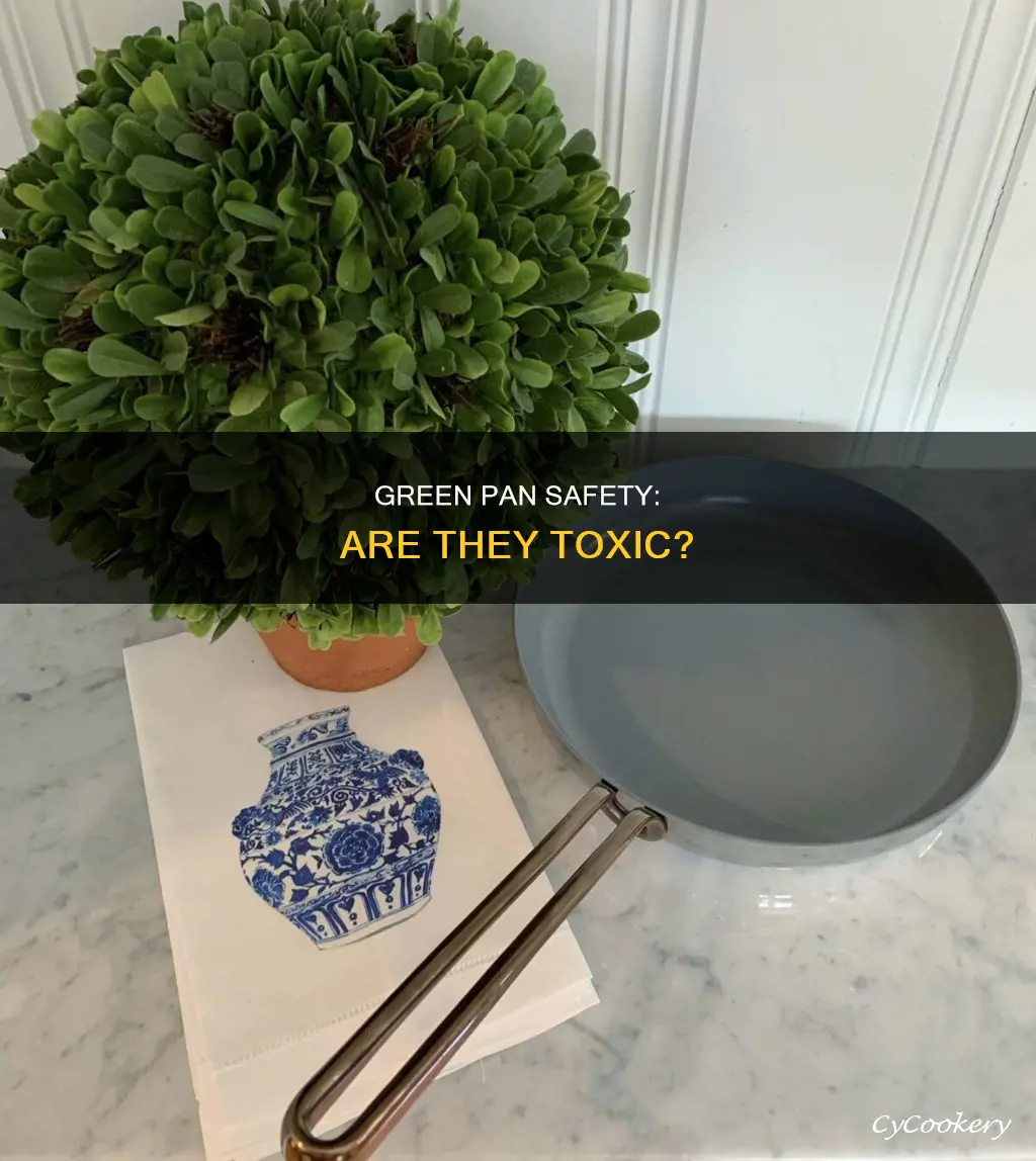can green pan be toxic