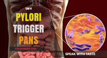 H. Pylori and PANS: A Triggering Mystery Unveiled