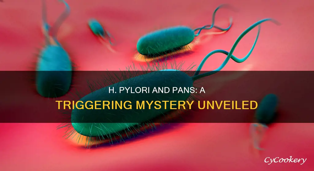 can h pylori trigger pans