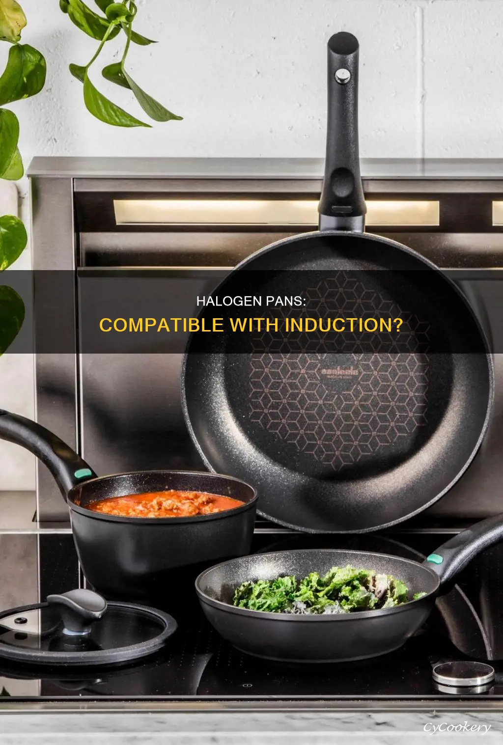 can halogen pans work on induction