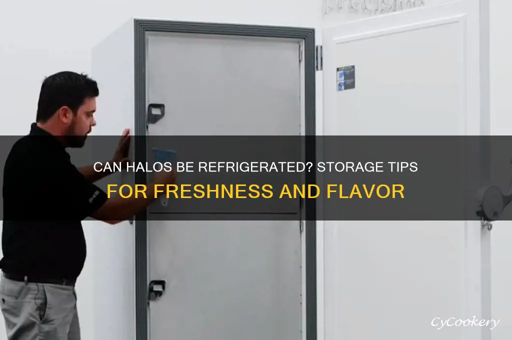 can halos be refrigerated
