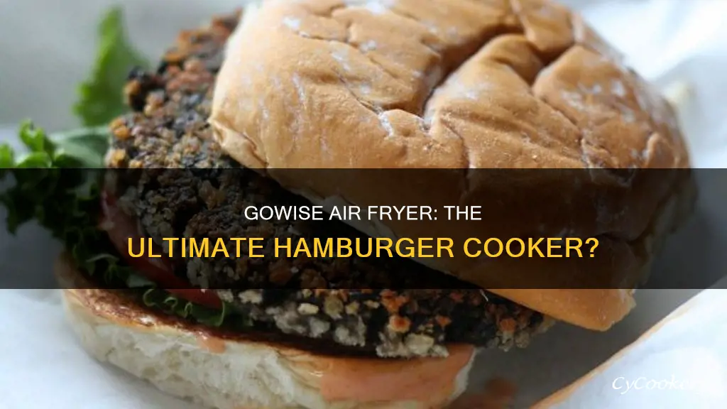 can hamburgers be cooked in gowise air fryer