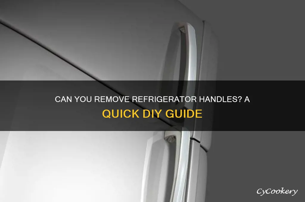 can handles be taken off refrigerators