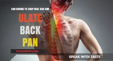 Toilet Emergency: Back Pain Trigger?