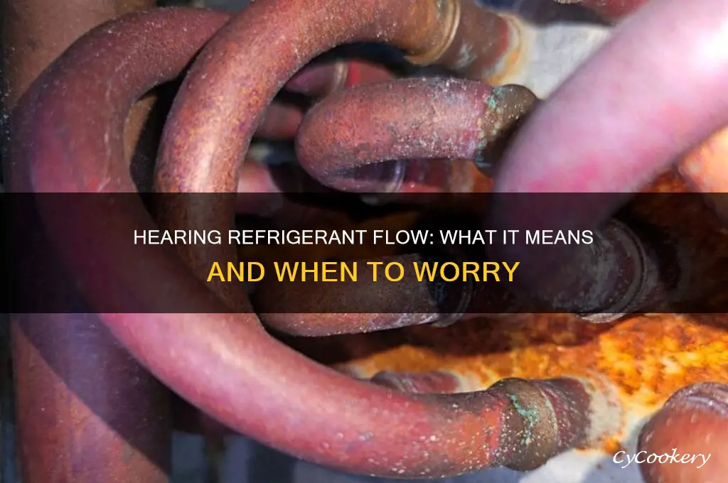 can hear refrigerant moving